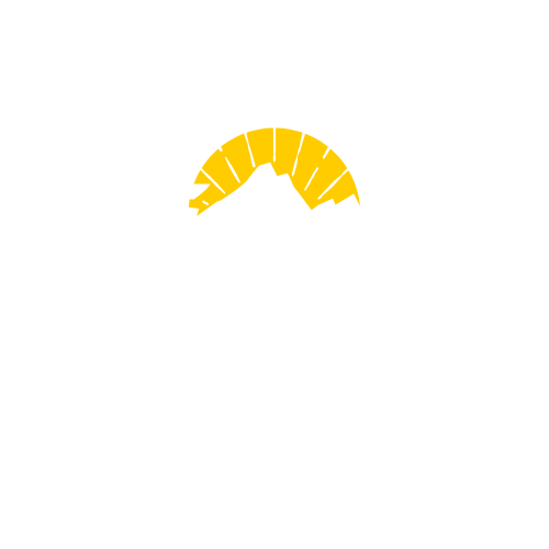 Trip Toubkal Mount